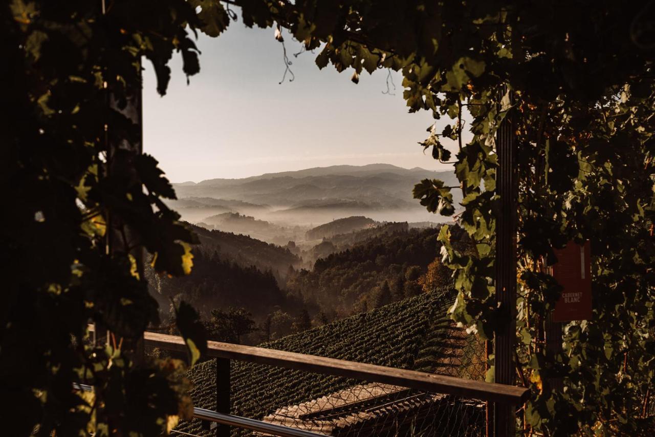 הוילה ליוצכאך Weingut Kollerhof Am Eichberg מראה חיצוני תמונה