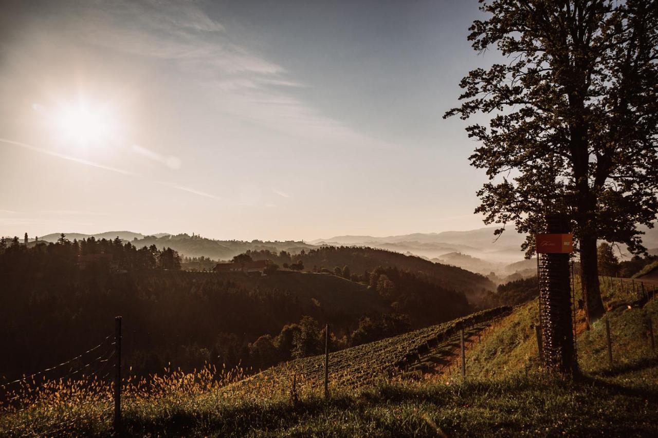 הוילה ליוצכאך Weingut Kollerhof Am Eichberg מראה חיצוני תמונה