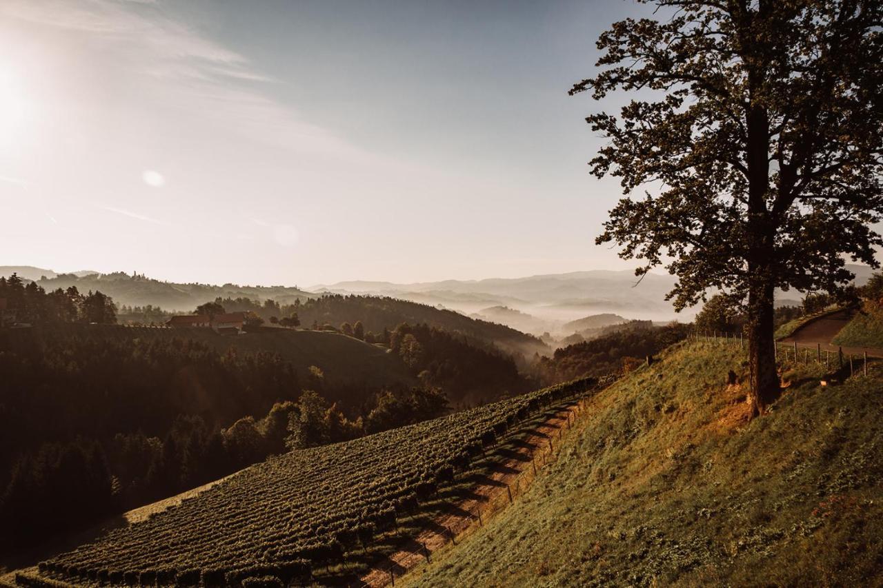 הוילה ליוצכאך Weingut Kollerhof Am Eichberg מראה חיצוני תמונה