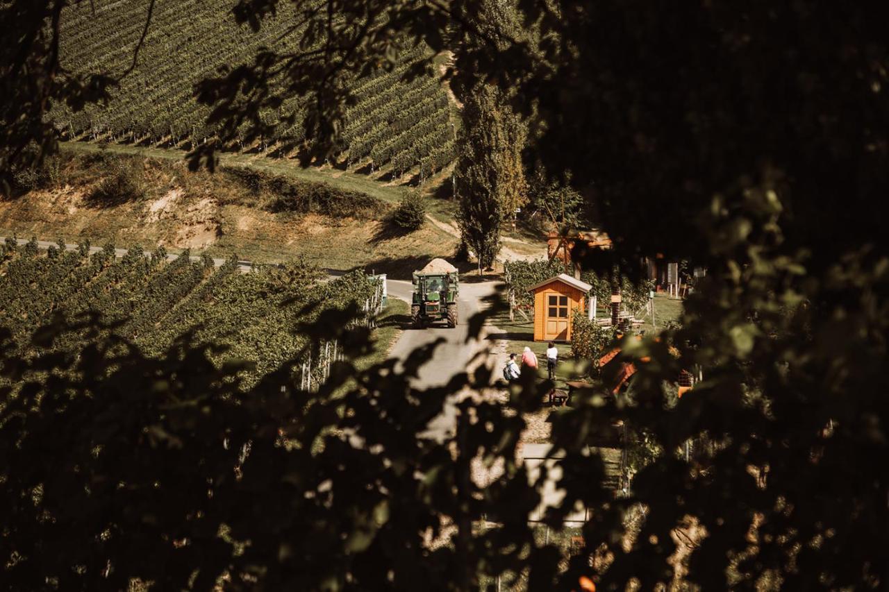 הוילה ליוצכאך Weingut Kollerhof Am Eichberg מראה חיצוני תמונה